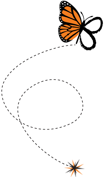 https://socialbutterflysocialmedia.com/wp-content/uploads/2024/12/Social-Butterfly-timeline-th.png