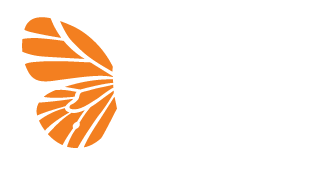 https://socialbutterflysocialmedia.com/wp-content/uploads/2025/07/Social-Butterfly-Logo_wh-orange.png